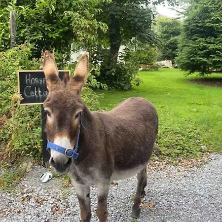 Horseshoe Cottage, Killarney