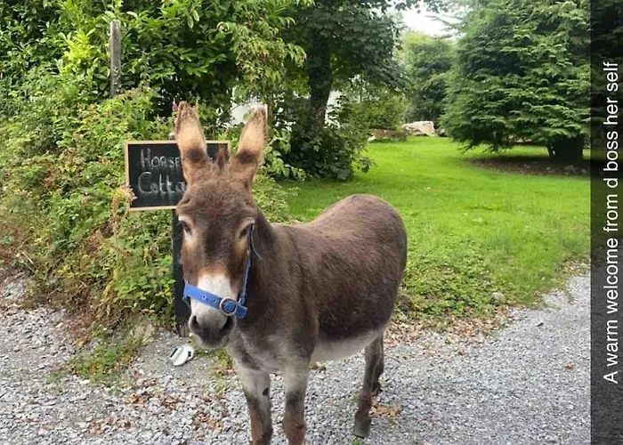 Horseshoe Cottage, Killarney